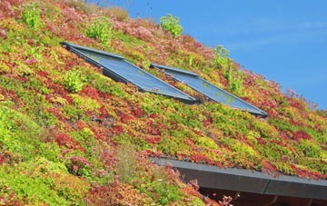 Hertford Heath living roof systems